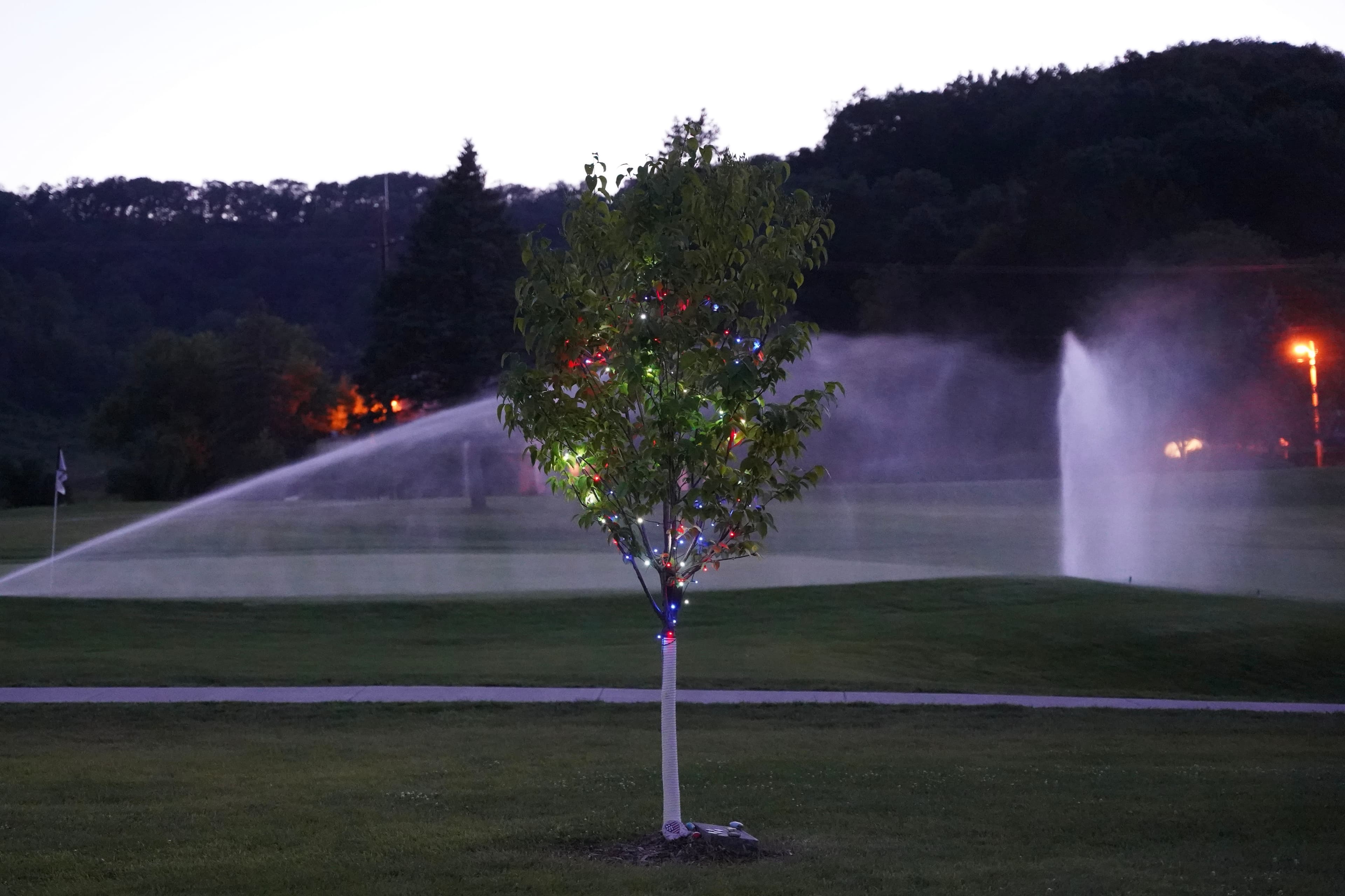 Sean's memorial tree at Bridges Golf Course