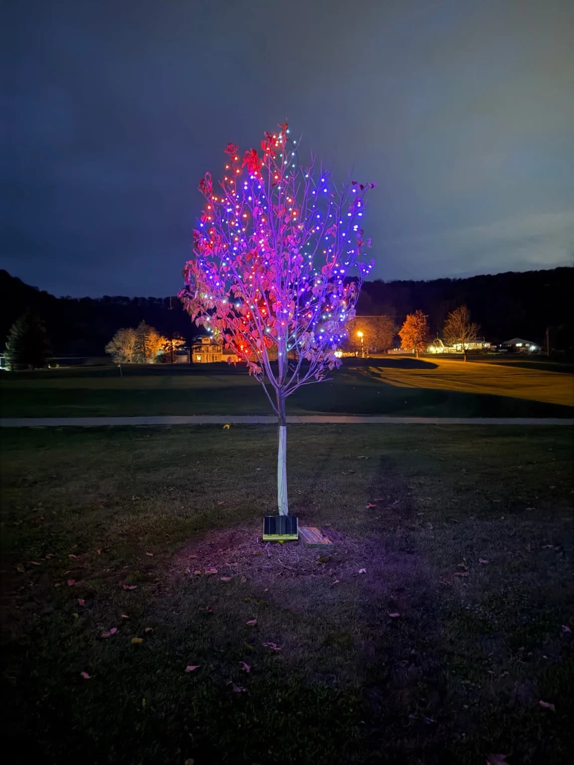 Sean's memorial tree at Bridges Golf Course